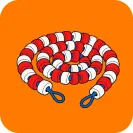 乌西克第11回合TKO维尔霍文,25战全胜|赛事合集·足球与篮球
